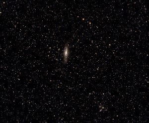 NGC 7331 und Nachbarschaft